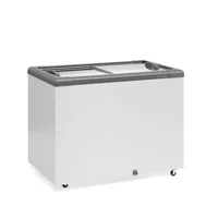 CONSERVADOR PLANO VIDRO RETO DESLIZANTE GHD-300-CZ/GELOPAR