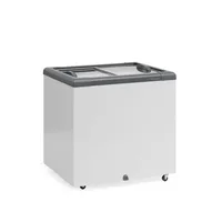CONSERVADOR PLANO VIDRO RETO DESLIZANTE GHD-200-L-CZ/GELOPAR